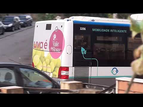 STCP 3189 3205 3206 3212 - 805