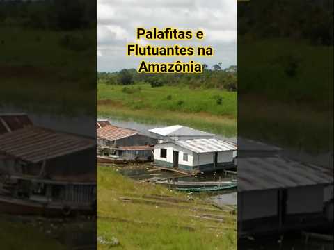 Palafitas e Flutuantes na Amazônia Ribeirinha! O Cotidiano em Benjamin Constant no Rio Javari.