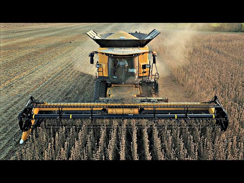 SOY: HOW TO PRODUCE 60 q/ha