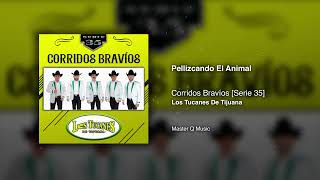 Pellizcando El Animal – Corridos Bravíos [Serie 35] – Los Tucanes De Tijuana (Audio Oficial)