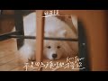 GJ蔣卓嘉 - 不是因為天氣晴朗才愛你 Rain or Shine (Official Music Video)