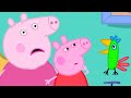 The Funny Parrot Peppa Pig And Friends Full Episodes