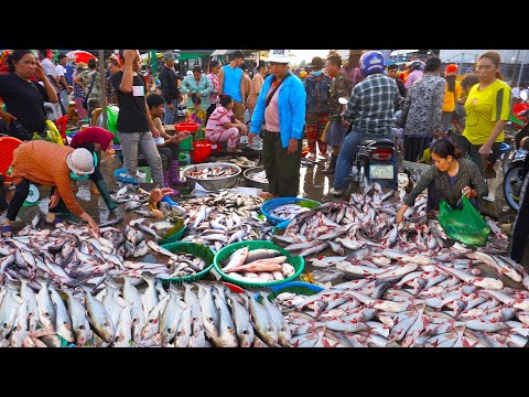 Amazing countryside food tour, Cambodian morning food markets