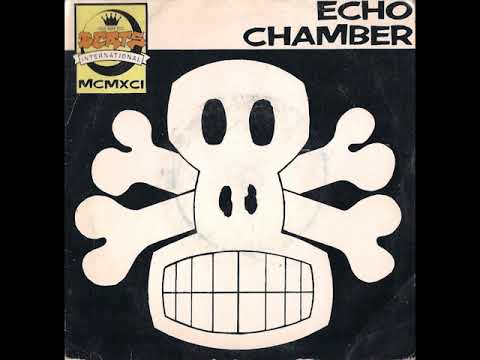 Beats INternational - Echo Chamber ( Daddy Freddy's ) (Vinyl Rip)