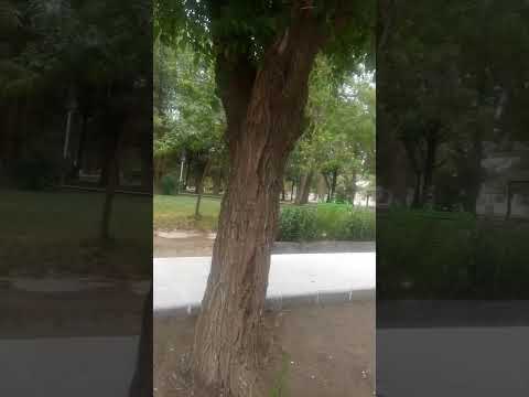 el cholar/huencú #aventura #travesia #travel #turismo #pueblo #conociendoargentina