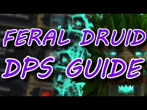 7.2.5 FERAL DRUID PvE Guide for Top DPS WoW Legion Talents, Rotation, Stat Priority & Artifact Path