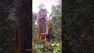 Download lagu Before being caught, this big snake left hundreds of eggs in the nest #shortsvidio #python mp3 Download lagu Before being caught, this big snake left hundreds of eggs in the nest #shortsvidio #python mp3