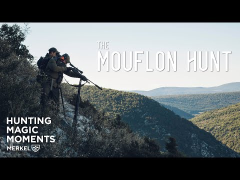 THE MOUFLON HUNT | HUNTING MAGIC MOMENTS