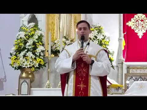 Homilia † Santa Missa Votiva pela perseverança das Vocações Sacerdotais, 19h – 31/10/2025