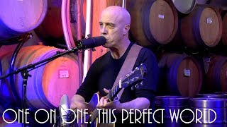 Cellar Sessions: Freedy Johnston - This Perfect World April 29th, 2018 City Winery New York