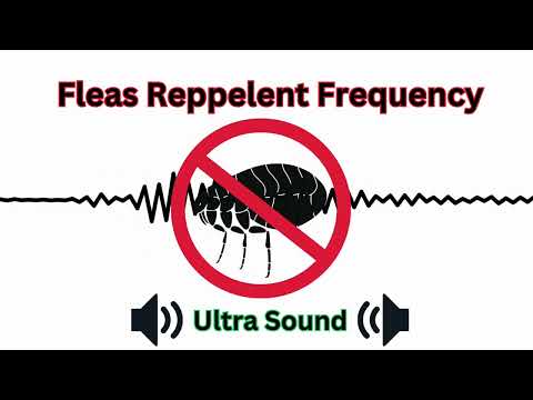 Fleas Repellent Sounds Frequency | Anti fleas tone | Ultra sonic