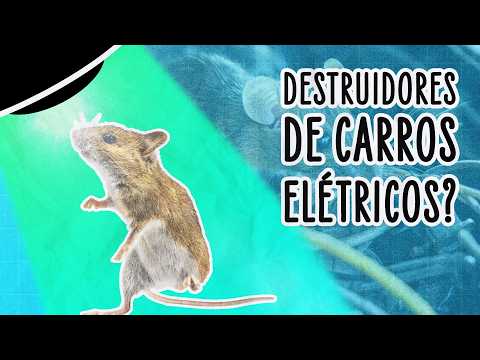 RATOS ESTÃO DESTRUINDO CARROS; É CULPA DOS FIOS DE SOJA? | ABDUÇÃO
