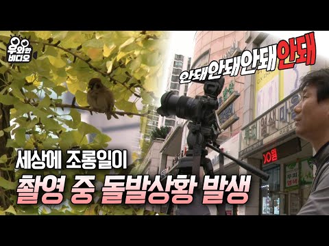 아이콘