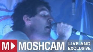 Animal Collective - Summertime Clothes | Live in Sydney | Moshcam