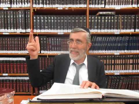 הרב יהושע ביבי - תשפ"ו - בין המצרים - שיעור מס' 001 - כוונת בין המצרים  שעה''כ פ''ט רע''ג ומפרע''ח