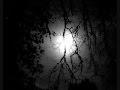 Moondust Melody 