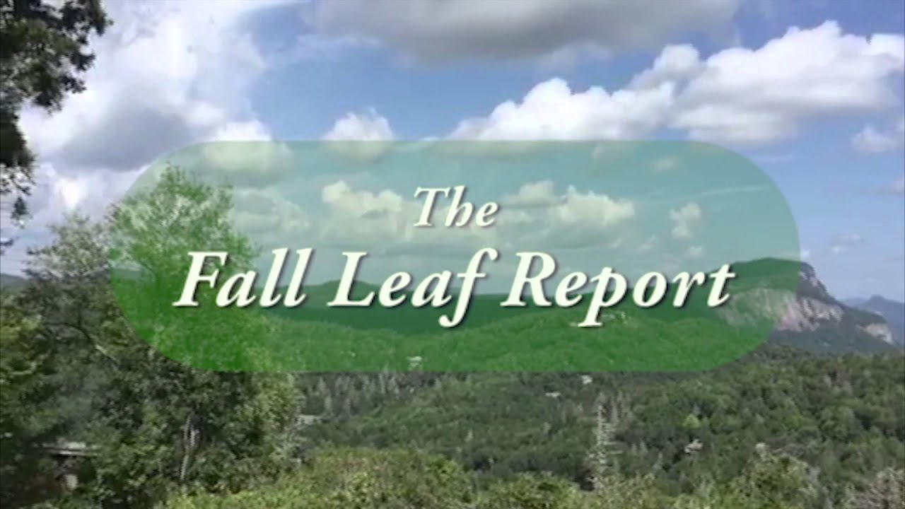 Coming Soon! The Fall Leaf Report