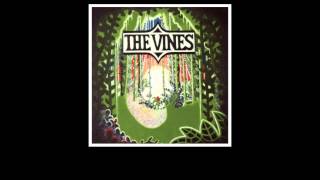 THE VINES &quot;Factory&quot; (Spanish subs)
