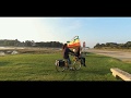 clip rasta postman