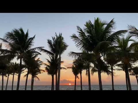 Wonryth - Mango Beach [Tropical House]