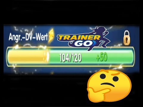 TrainerGO Ist DER Durchbruch nötig?