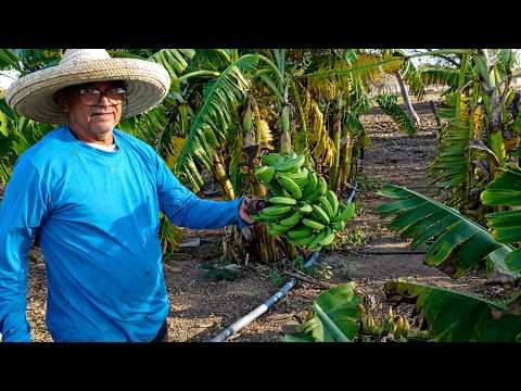 Visitei o sítio Rodrigues em Itaguaçu Da Bahia.  Foram três dias de muita paz.