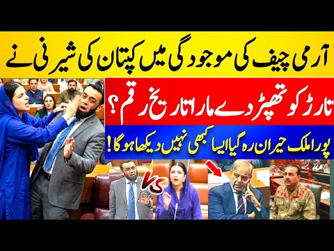 Senate Clash in Presence of Army Chief | Mashal Yousafzai vs Atta Tarar Heated Debate
