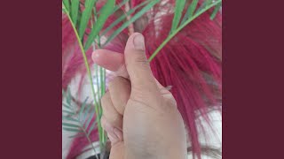 Download lagu Sunyi Setelah Badai Berlalu mp3 Download lagu Sunyi Setelah Badai Berlalu mp3