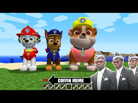 This is Real PAW PATROL in Minecraft