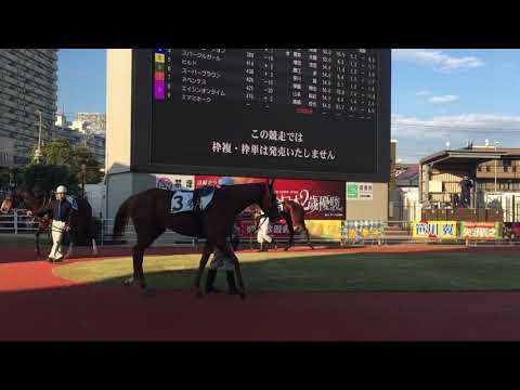 2019.12.18 川崎🐎2R コンステレーション