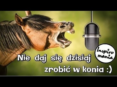 Prima aprilis! Śmieszne memy