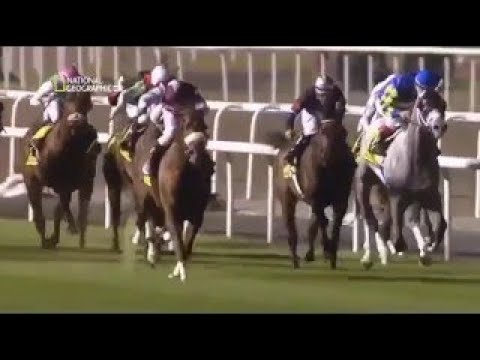 Megastructures Dubai Racecourse