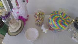 Maelyn's First Birthday Party!