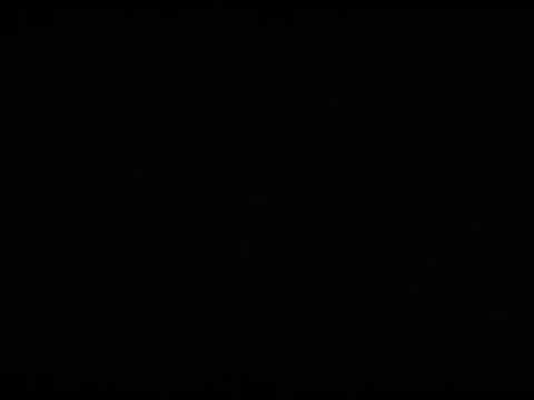 Cardiff Castle by Mark Williams