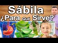 Aloe Vera What Is It Good For Benefits For Your Health And Beauty