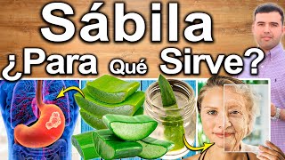 Download lagu Aloe Vera - What Is It Good For? - Benefits for Your Health and Beauty mp3