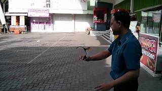 Penguin Indoor Boomerang Flight