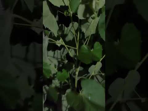 I AM COMING HOME💘🌹🚗