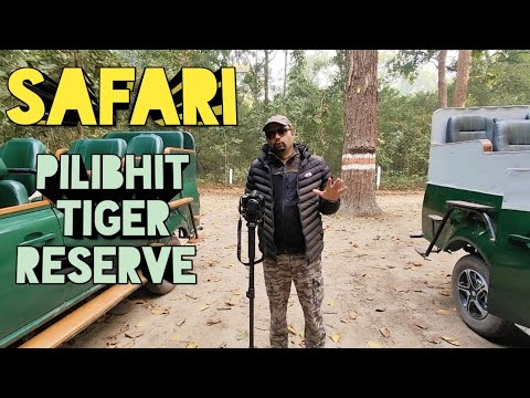 Safari Pilibhit Tiger Reserve । Jeep Safari Pilibhit Tiger Reserve। Chuka Beach पीलीभीत टाइगर रिजर्व