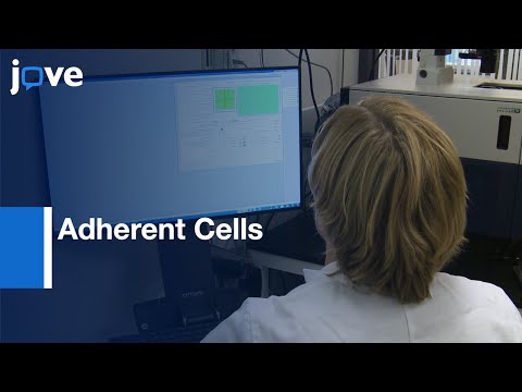 Target Engagement in Adherent Cells Quantification | Protocol Preview