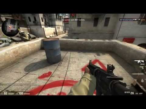 Wo4n testar CS GO! (svenska)