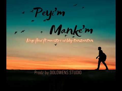 peyi'm manke'm                                       Negro flow ft maestro wildy-Tanzantan