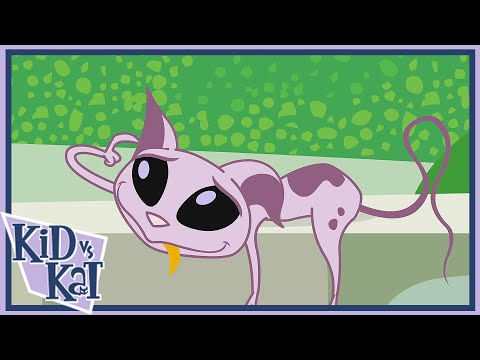 BRAND NEW Kid Vs Kat Compilation - Over 2 hours - Wildbrain