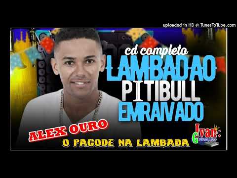 PITBULL ENRAIVADO - EM RITMO DE LAMBADA