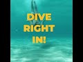 Dive Right In Ad 1
