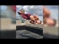 The Best Flips Jack Payne
