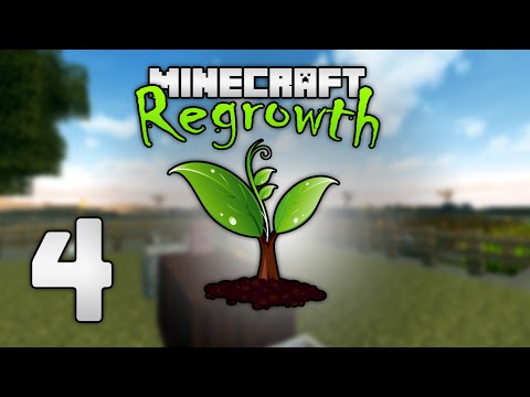 Modded Minecraft: Regrowth HQM - 4 - QUEST FOR METALS