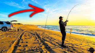 Surf Fishing IS ON FIRE - NC Surf Fishing