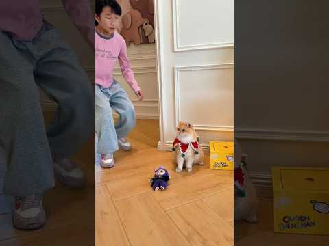 Đồ Chơi Biến Thành Quái Vật Khổng Lồ 😱🦖