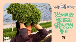 [나는농부다 237회 1부] 무헌 씨의 달콤쌉사름한 도전